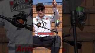 【ダイワ シルバーウルフSXシリーズ】発進！軽さという牙を武器にチヌを釣りまくれ！#チニング #シルバーウルフ #もりぞー #ダイワ #SXシリーズ
