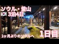 【ソウル釜山1日目】2ヶ月ぶりのソウル