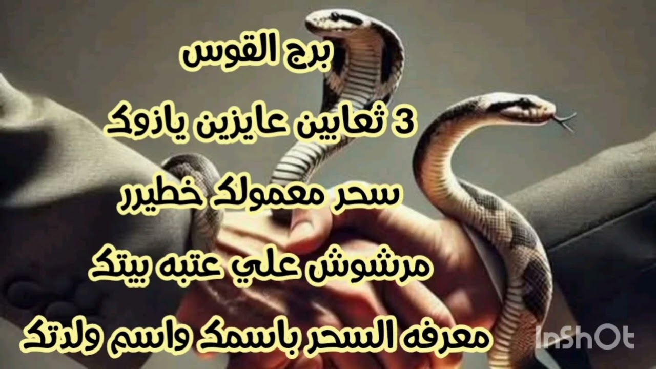 برج القوس 3 ثعابين عايزين ياذوك 💫 سحر معمولك 💫 مرشوش علي عتبه بيتك 😔 معرفه السحر باسمك واسم ولدتك