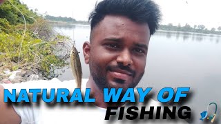 Fishing 🎣 At Hotgi Talab | Fishing Vlog by Riyaz Korbu 125 views 7 months ago 6 minutes, 42 seconds