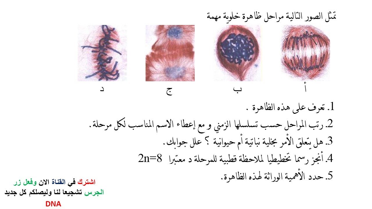 اختبار الفصل الثاني في مادة العلوم الطبيعية للسنة الثانية ثانوي