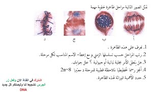 اختبار الفصل الثاني في مادة العلوم الطبيعية للسنة الثانية ثانوي