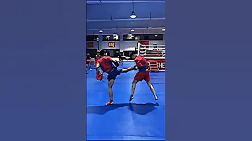 Wushu Fights 