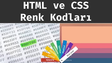 En Çok Kullanılan HTML ve CSS Renk Kodları (Kapsamlı Rehber)