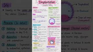 Implantation Complete Notes | Human Reproduction Easy Explanation 📚 | Nursing & NEET Important Topic