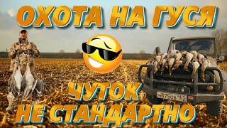 ГУСИНАЯ ОХОТА УДАЛАСЬ!!!