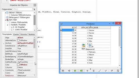 T2Ti ERP 2 0   Lazarus   Ribbon Controls   08 Aplicacao TDI