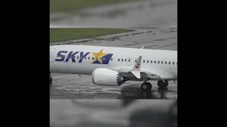 TOKYO HANEDA INTERNATIONAL AIRPORT【Skymark Airlines B737 8 MAX First】