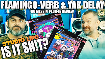 2 NEW SAFARI PEDALS?? IT MUST BE XMAS!! FLAMINGOVERB & YAK DELAY!