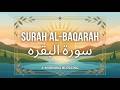 Full Beautiful Heart Touching Quran Recitation | Surah albaqarah سورۃ البقرہ | گویا تم حرم میں ہو۔