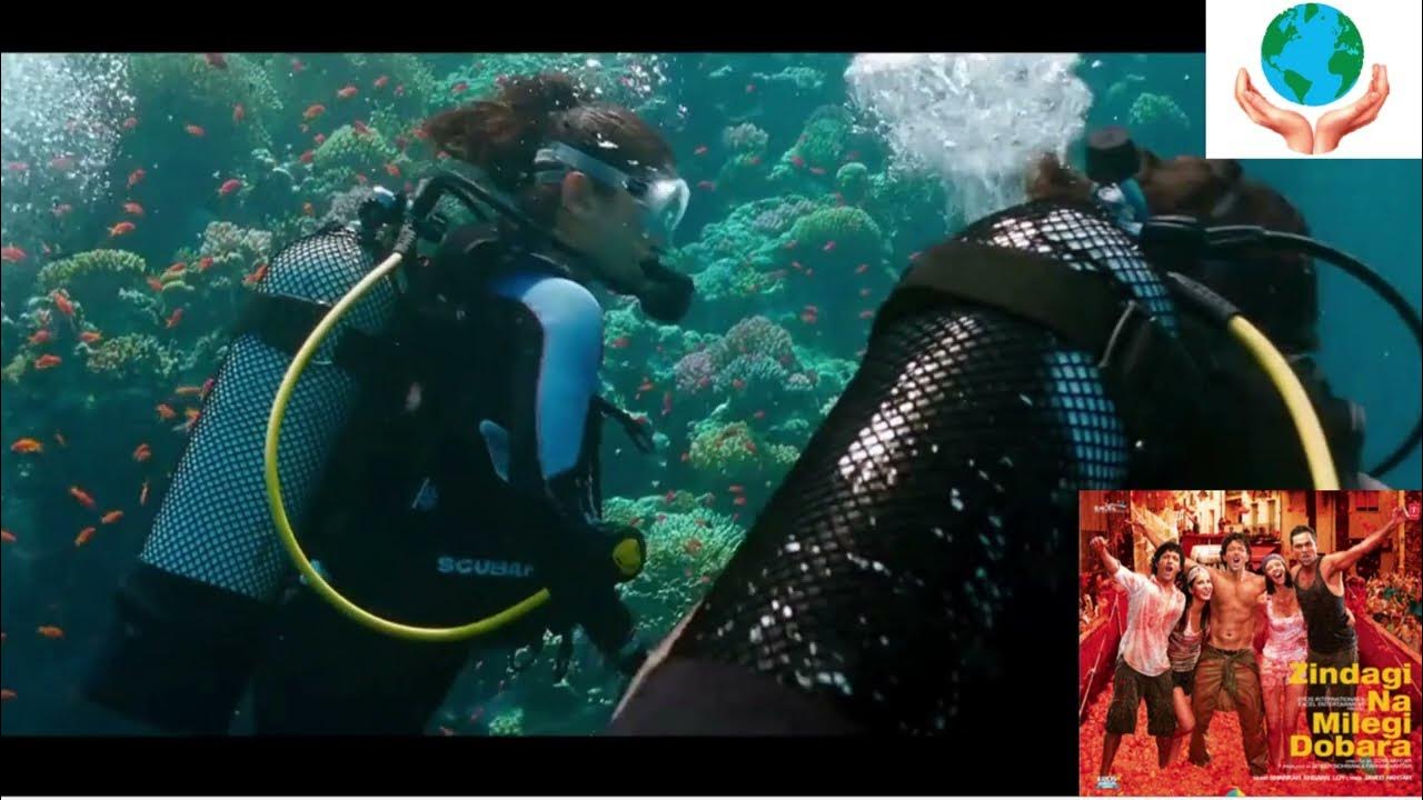 Zindagi Na Milegi Dobara Scuba Diving Scene Beautiful Underwater scenes. Nature | zindagi na milegi dobara