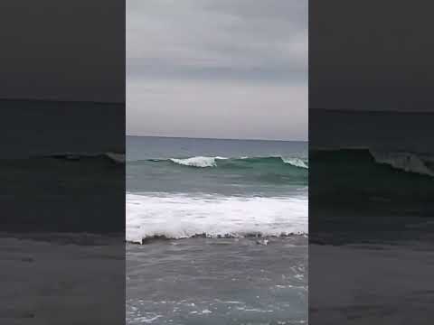 15 марта БЕРЕГ МАХМУТЛАРА. ТУРЦИЯ 2026.