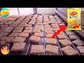 आख़िर Factory में कैसे बनती है Maggi Noodles | 5 Amazing Food Manufacturing Factories