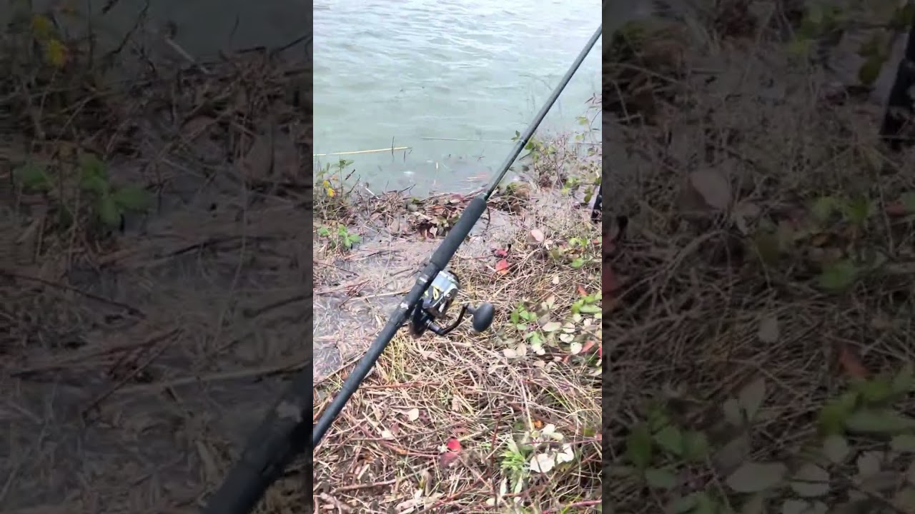 Sacramento deep water channel!!