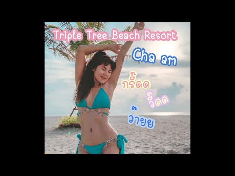 Triple Tree Beach Resort - Cha am ep.1 พาชมห้อง #รีวิว #ชะอำ #ที่พักติดทะเล #พลูวิลล่า