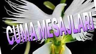 EN YENİ🤲CUMA MESAJLARI🤲EN GÜZEL CUMA MESAJLARI🤲CUMA GÜNÜ MESAJLARI🤲RESİMLİ CUMA MESAJLARI