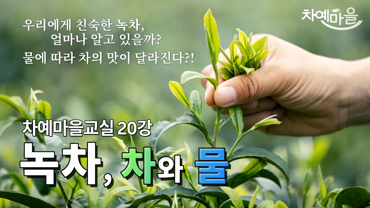 인류 최초의 차, 녹차의 분류부터 차와 물의 관계까지! ｜차예마을교실 20강 - YouTube