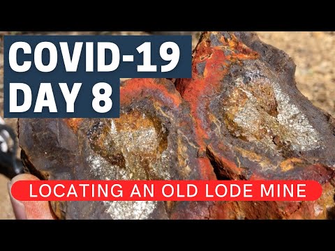 Covid-19 - Day 8 | Locating an Old Lode Claim | Detecting Quartz Piles