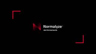 Normalyze: Eliminate Data Security Blindspots in Snowflake
