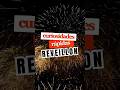 Curiosidades rápidas sobre reveillon