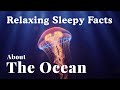 The Most Relaxing Facts About the Ocean to Fall Asleep To — Dreamy Science