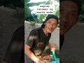 Shorts SEPTRAY YOUNG PLANTS Shorts SEPTRAY YOUNG PLANTS