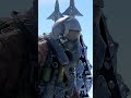 The new Pilot Hazmat is almost here