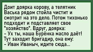 Как Васька прибамбас свой подставил! Сборник свежих анекдотов! Юмор!