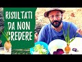 ORTO degli SCARTI: spreco zero