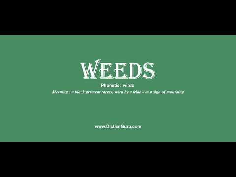 Video: In the weeds synonym?