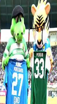 Story wa 30 detik [[ persib dan persebaya tetap bersatu ]]💙💚