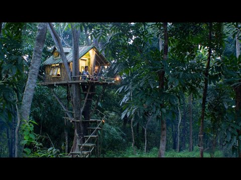 Semua dalam 1 Video! Bangun 2 Rumah Pohon & 2 Rumah Bambu di Hutan! 🎥🌳🏡