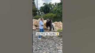 Me Vs. Gorilla 🦍