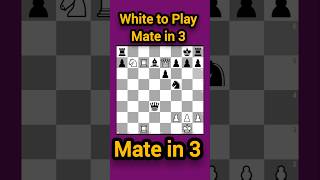 Mate in 3 Puzzle Every US Chess Player Should Solve! #chesspuzzle #usachesslovers❤️❤️