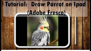 Step by Step Tutorial: Draw a Cockatiels on Ipad in Adobe fresco #DigitalPainting screenshot 1