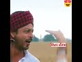 خوشترين استرانا كوردي شفانو هيفا من با 