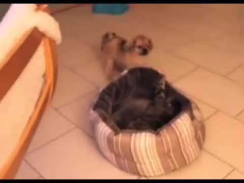 و ركبت الأكس سكس