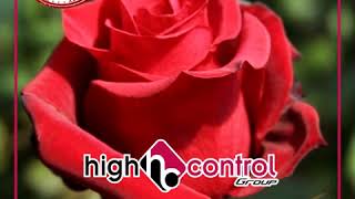 Quality Is Not Luck - Good Quality Is High Control Group