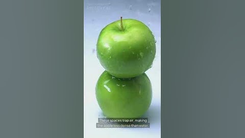 Fun Food Facts: Why Do Apples Float? The Surprising 25% Air Trick!