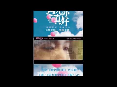 【TFBOYS王源Roy】《因为遇见你2018版》MV预告【KarRoy凯源频道】