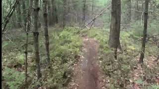 Dirt Bikes Only! Brand New Single Track - Limington, Maine - Honda XR150L