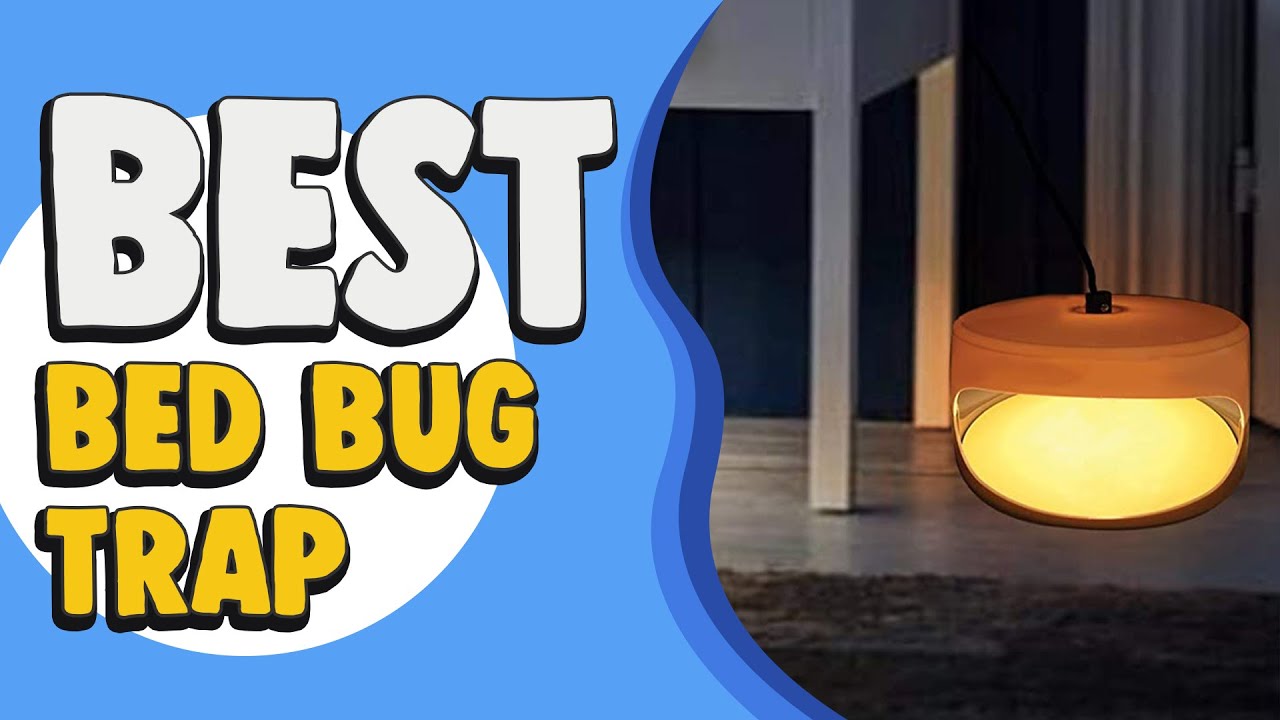 Best Bed Bug Trap in 2022 Useful Products Guide! YouTube