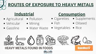 Expert discusses heavy metals commonly found in food