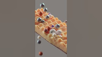 Softest Sponge in the whole world  #3d #digital3d