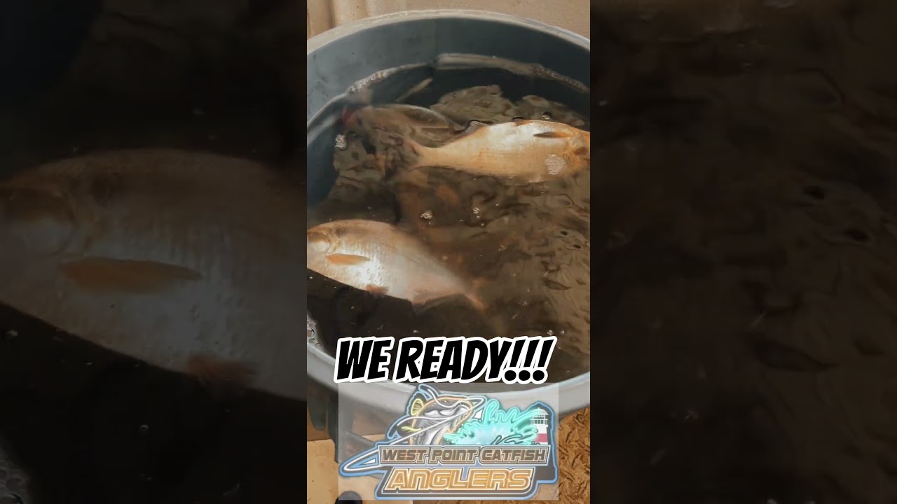 Gizzards on the ticket order for the weekend!! #LetsGetIt #LookingForTheDub #GrandPrizeCandy #fyp