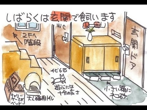 2014.9 黒猫の親子　8