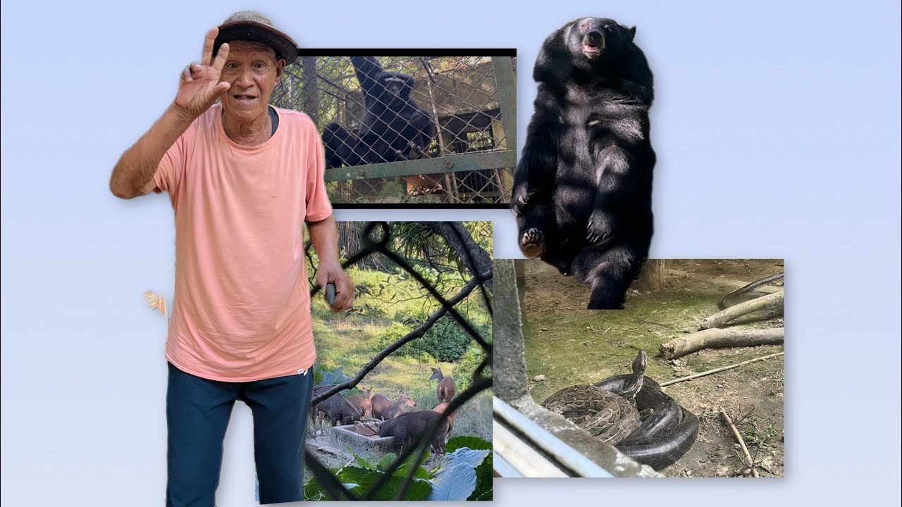 Visited biological park with grandfathers