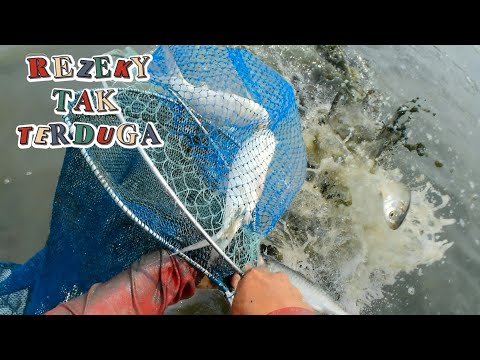 FUNKOT - BINTANG DI SURGA [ ADLANI RAMBE ] | DJ ALMIRA BERTO