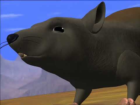 Rattrap Maximize