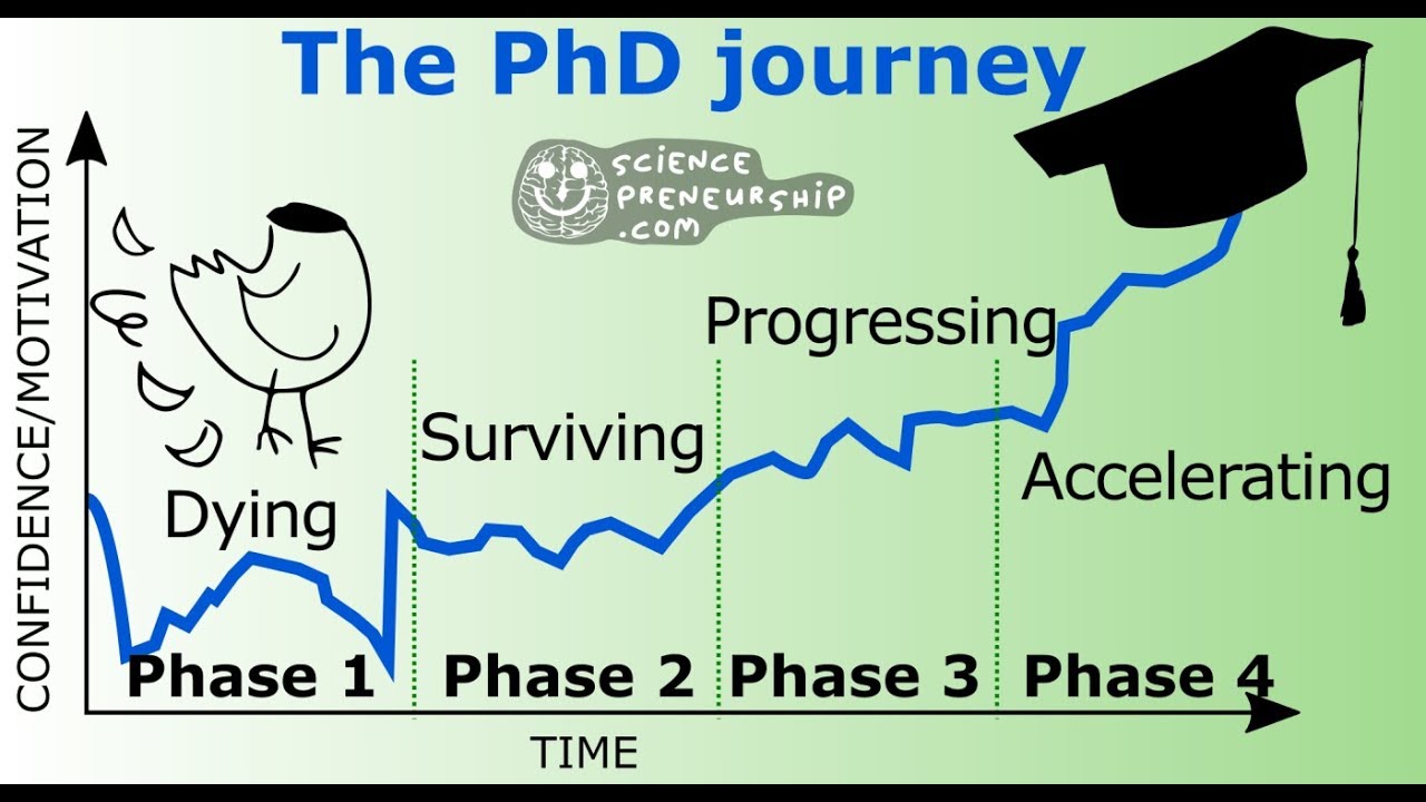 phd student journey